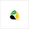 Pology Oil Extraction Plant 